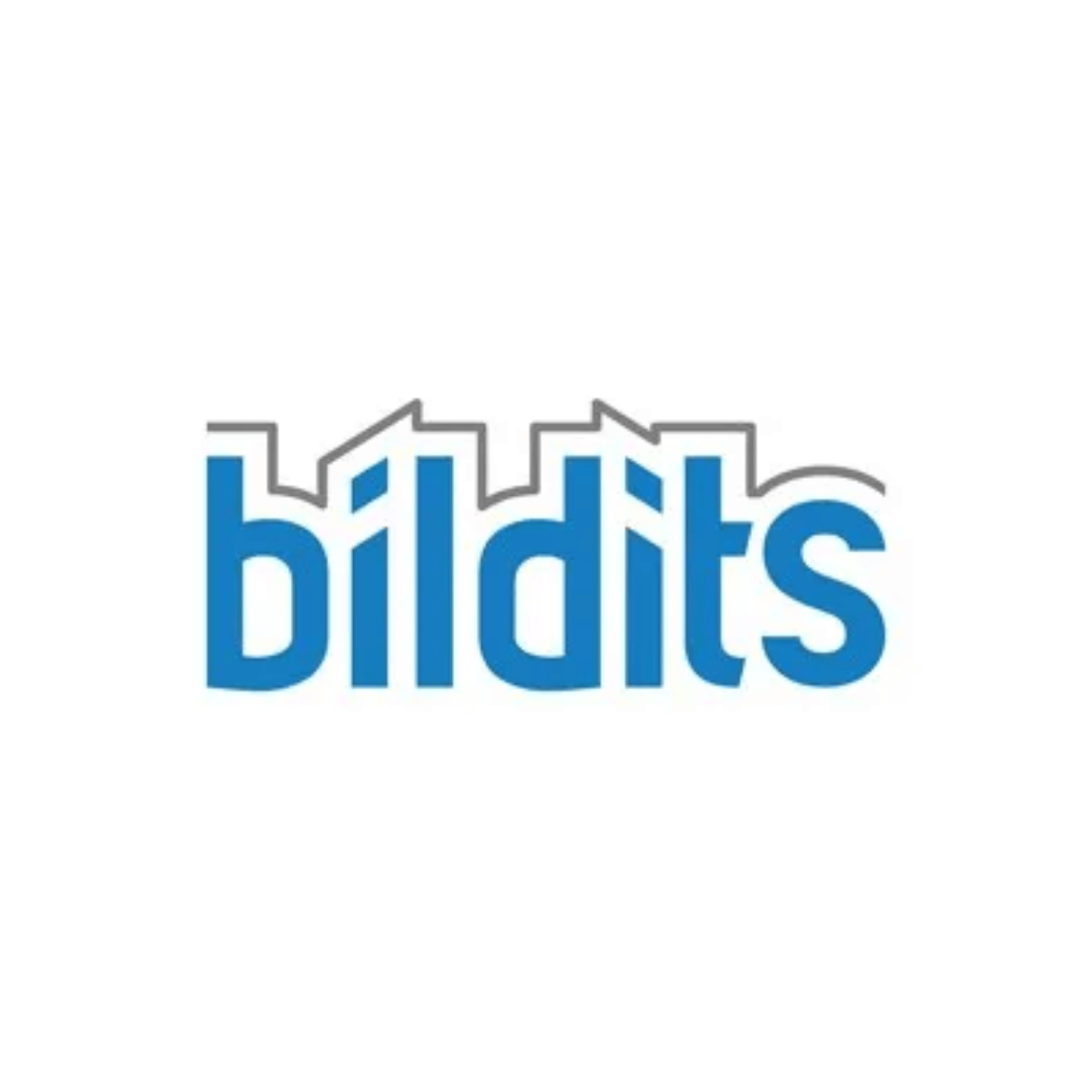 Bildits
