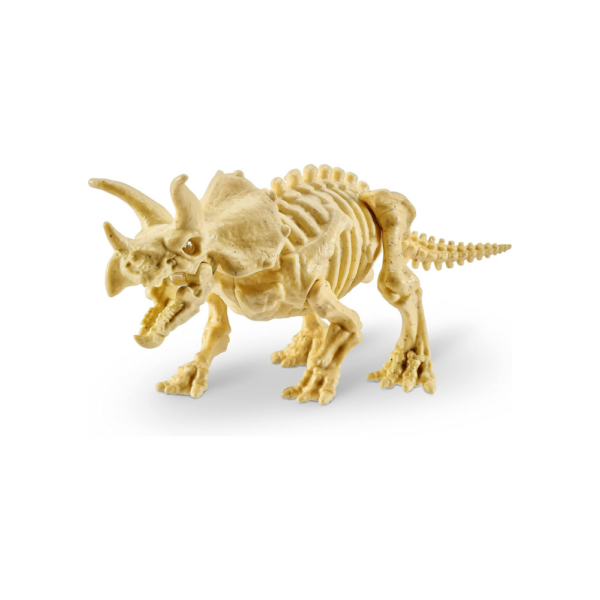 Alive Dino Fossil - Image 2