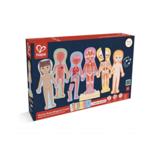 Human Body Magnetic Puzzle