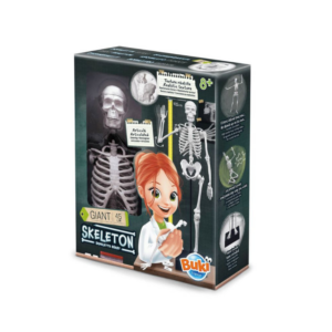 Buki France - Skeleton 80 cm