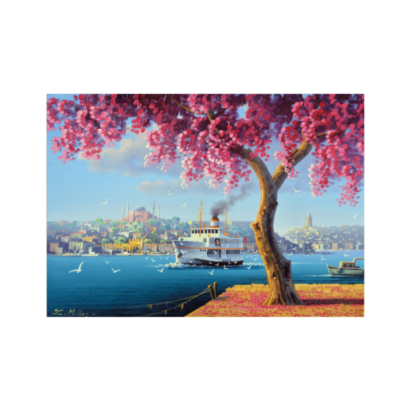 Hagia Sophia and Ferry - Image 2