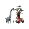 Brachiosaurus Discovery - Image 2