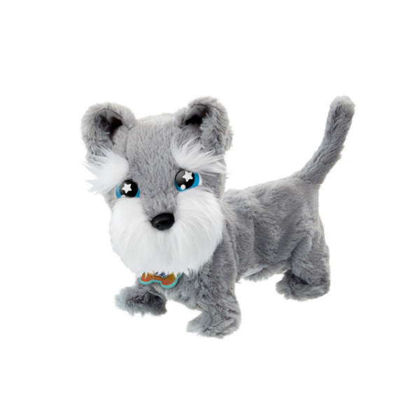 Tilly The Terrier - Image 2