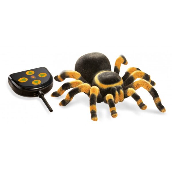 Tarentula R/C - Image 2