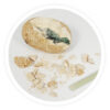 Dino Eggs - Image 3