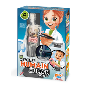 Human Body