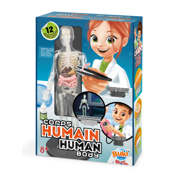 Human Body