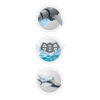 Shark R/C - Image 3