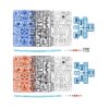 Hydraulic Boxers - Image 2