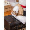 Adventurer Bear Plush - Gaston Adventurer - 40cm - Image 4