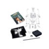 Buki France - Skeleton 80 cm - Image 3