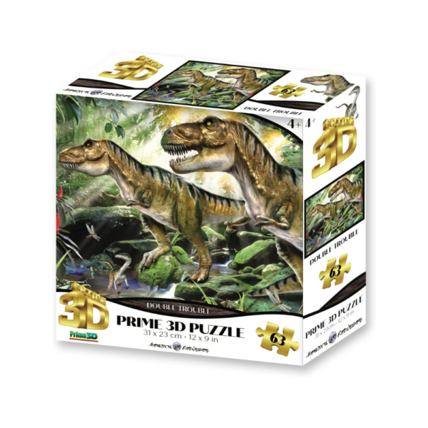 Double Trouble Puzzle