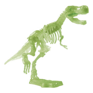 Glow-in-The Dark T-Rex Excavation Set