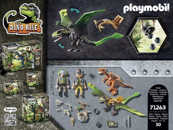 Dimorphodon - Image 4