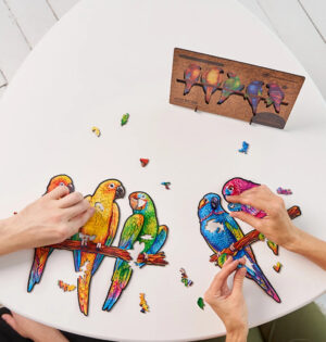 5-in-1 Playful Parrots 193-Pieces