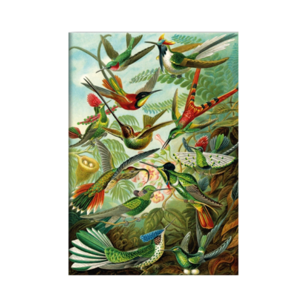 Puzzle Haeckel  Hummingbirds 1500 pieces - Image 2