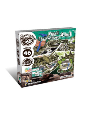 Fossils Excavation 4-in-1