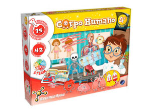 The Human Body