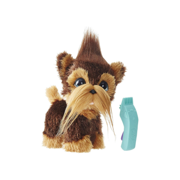 Shaggy Shawn