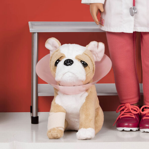 Healthy Paws Vet Clinic - Image 5