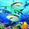 Reef Shark Puzzle - Image 2