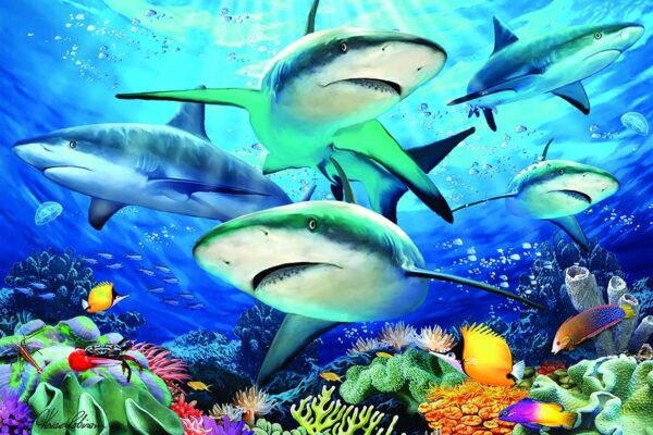 Reef Shark Puzzle - Image 2