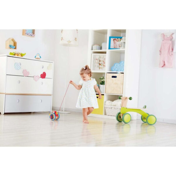 Wooden Bird-Themed Push and Pull-Along Toy - Image 3