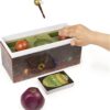Harry Potter Catch The Snitch Game For Families And Kids - Image 2
