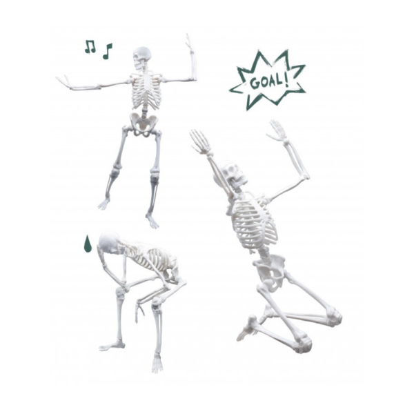 Skeleton 45 cm - Image 3