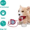 Walking Buddies - Tobey - Image 2