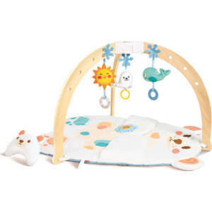 Snuggle Bear Activity Gym