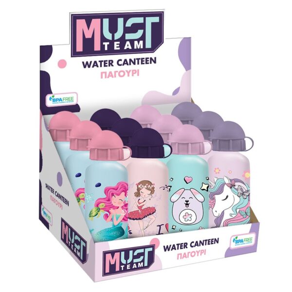 Aluminium Water Bottle 500ml Assorted Girls