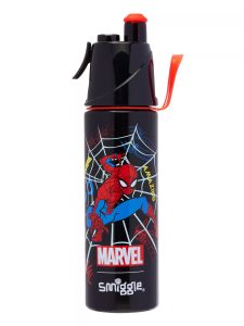Marvel Water Bottle